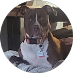 Profile photo of Kim M