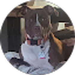 Profile photo of Kim M