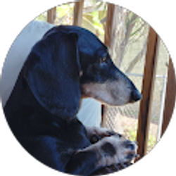 Profile photo of Paula Smith