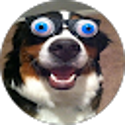 Profile photo of MarkLE