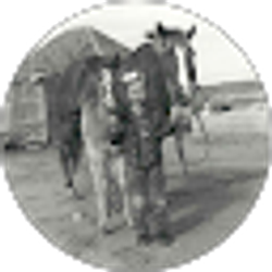 Profile photo of Cary May