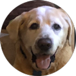 Profile photo of Lisa Milecki