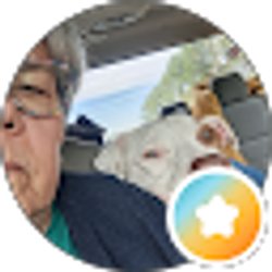 Profile photo of kim collins