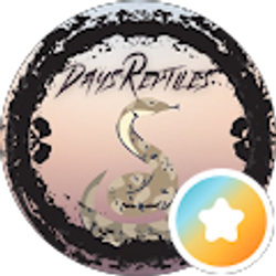 Profile photo of Day’s Reptiles