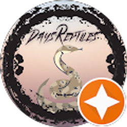 Profile photo of Day’s Reptiles