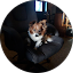 Profile photo of J B