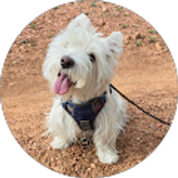 Profile photo of Curtis Garcia