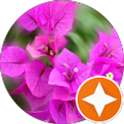 Profile photo of Brandi Valentine