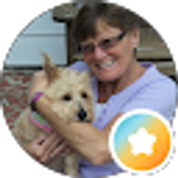 Profile photo of Cathy Berry