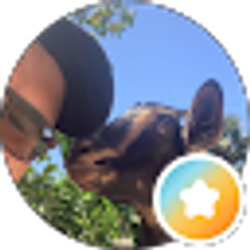 Profile photo of Matt Bell