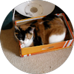 Profile photo of Mike W