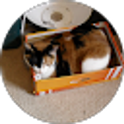 Profile photo of Mike W