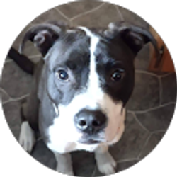 Profile photo of Michelle Lane
