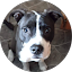 Profile photo of Michelle Lane