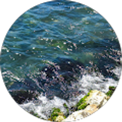 Profile photo of Keisha Strong