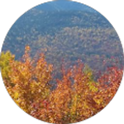 Profile photo of Janice Messar