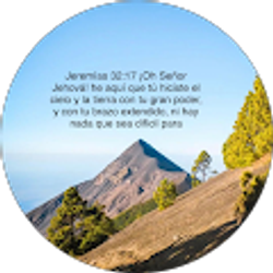 Profile photo of Alfredo Chuta