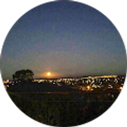 Profile photo of W Archer