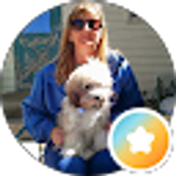 Profile photo of Brigid Janette