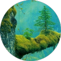 Profile photo of Brandon & Christina Parker