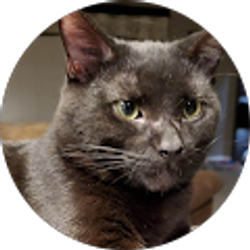 Profile photo of Robert Sherwin