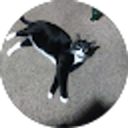 Profile photo of Lenny Smith