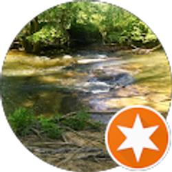 Profile photo of patricia albert