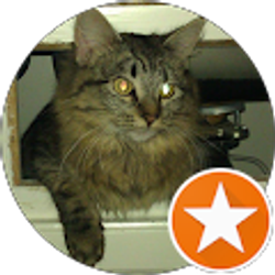 Profile photo of Joshua Mitchell