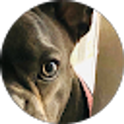 Profile photo of Wilmar Lozano