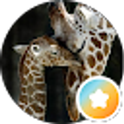 Profile photo of Kat M