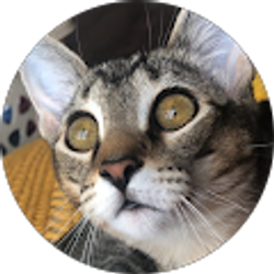 Profile photo of Krystal Suarez