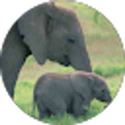 Profile photo of Catherine Taylor