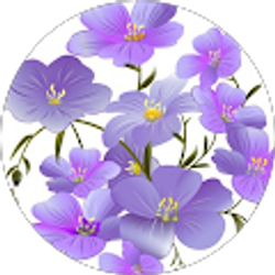 Profile photo of Sarah Russ