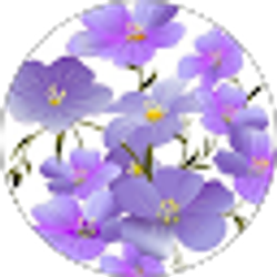 Profile photo of Sarah Russ