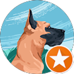 Profile photo of Tracey Dempsey