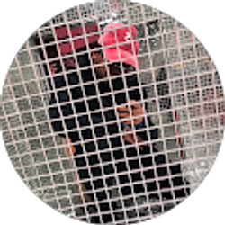 Profile photo of Mark Medina