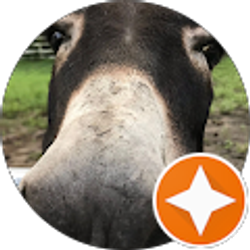 Profile photo of Angie