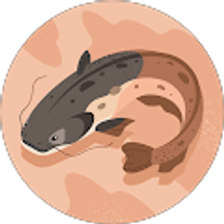 Profile photo of Cory Crowell