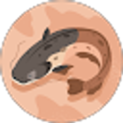 Profile photo of Cory Crowell