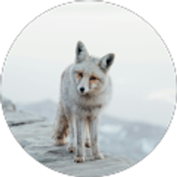 Profile photo of Kate Hawkins