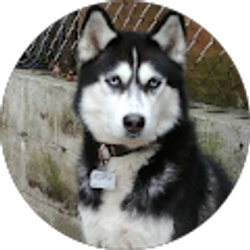 Profile photo of Rogelio Santiago