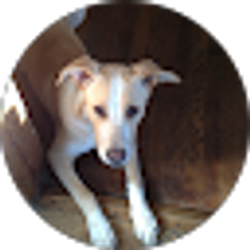 Profile photo of Nancy Chervin