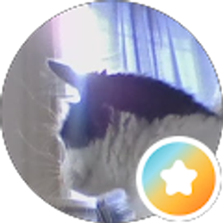 Profile photo of Billie F Wilson