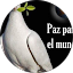 Profile photo of Juan j Fermín