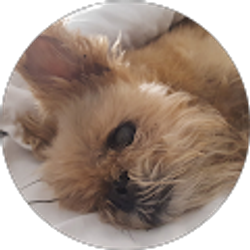 Profile photo of Jennifer Hilton