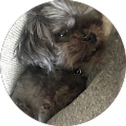 Profile photo of Ami Chufany