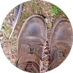 Profile photo of Mel 66