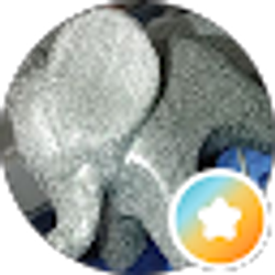 Profile photo of EL LE