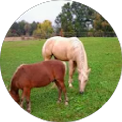 Profile photo of Janice Tamminga