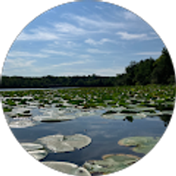 Profile photo of Cassie Hunsberger